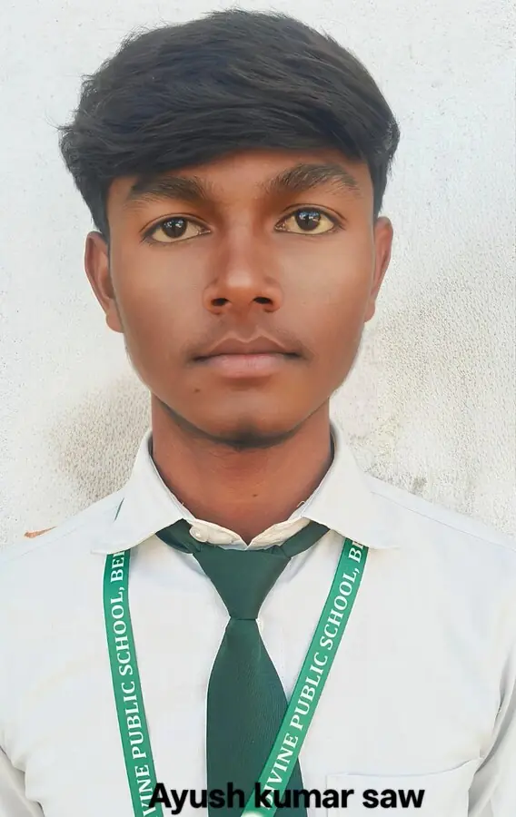 Ayush Kr. Saw